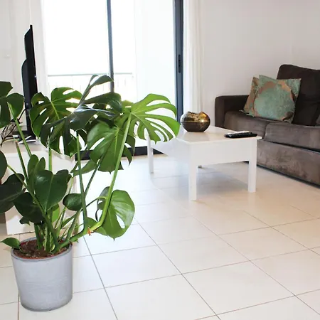 Apartment With Terrace Olhos De Agua