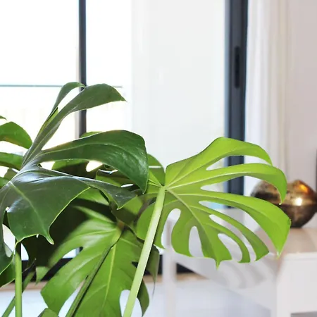 With Terrace Olhos De Agua Albufeira