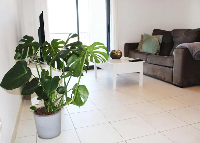Appartement With Terrace Olhos De Agua